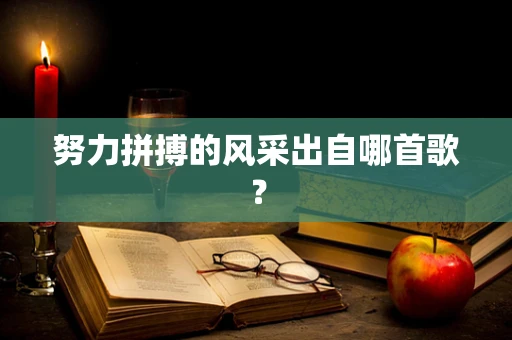 努力拼搏的风采出自哪首歌？