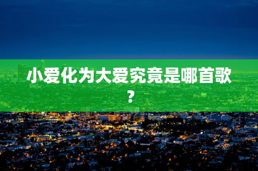 小爱化为大爱究竟是哪首歌？