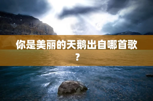 你是美丽的天鹅出自哪首歌？