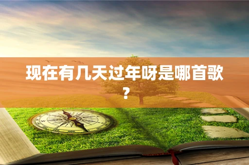 现在有几天过年呀是哪首歌？