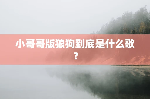 小哥哥版狼狗到底是什么歌？