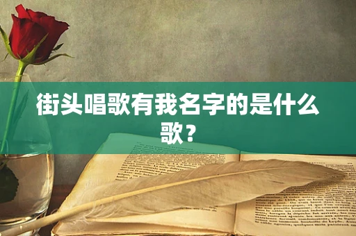 街头唱歌有我名字的是什么歌？