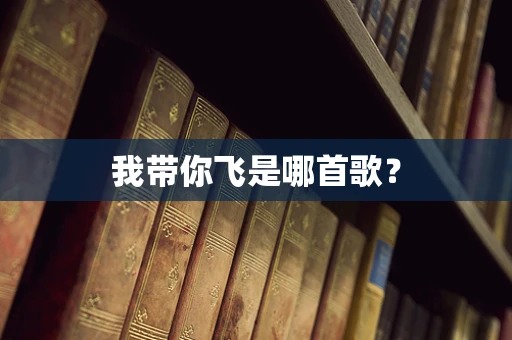 我带你飞是哪首歌？