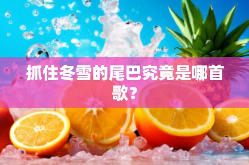 抓住冬雪的尾巴究竟是哪首歌？