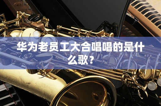 华为老员工大合唱唱的是什么歌？