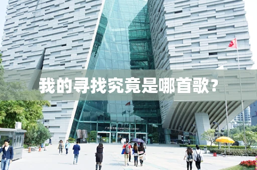 我的寻找究竟是哪首歌？