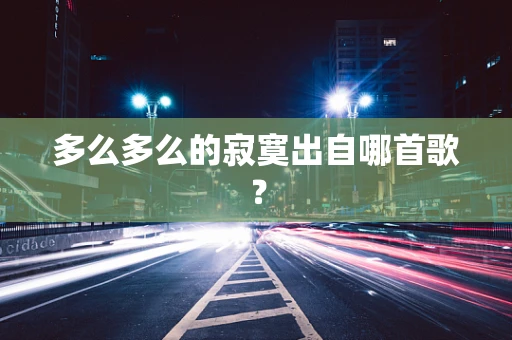 多么多么的寂寞出自哪首歌？