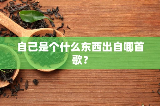 自己是个什么东西出自哪首歌？