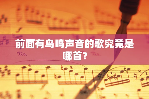 前面有鸟鸣声音的歌究竟是哪首？