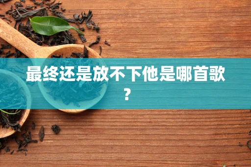 最终还是放不下他是哪首歌？