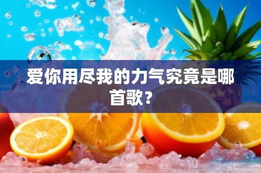 爱你用尽我的力气究竟是哪首歌？