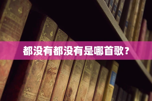 都没有都没有是哪首歌？