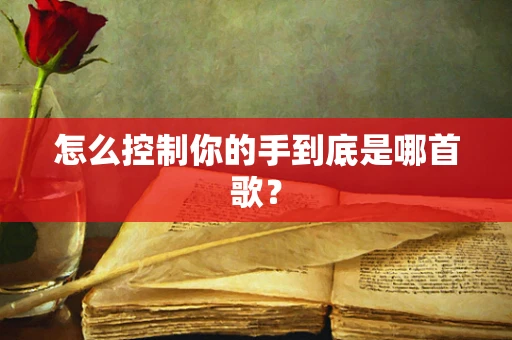 怎么控制你的手到底是哪首歌？