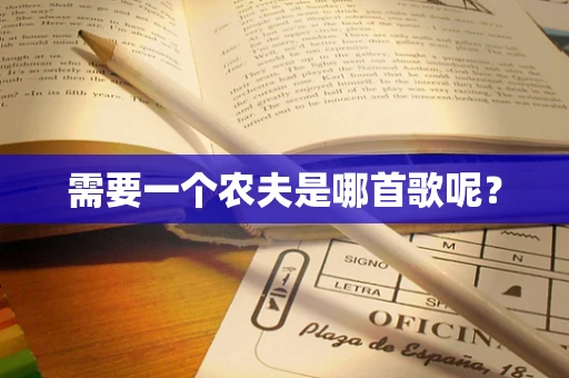 需要一个农夫是哪首歌呢？