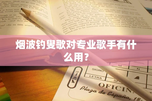 烟波钓叟歌对专业歌手有什么用？