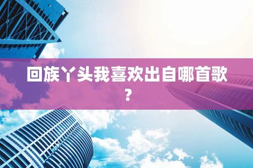 回族丫头我喜欢出自哪首歌？