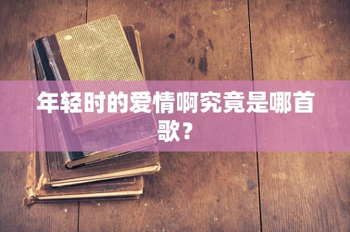 年轻时的爱情啊究竟是哪首歌？