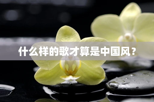 什么样的歌才算是中国风？