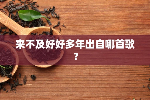 来不及好好多年出自哪首歌？
