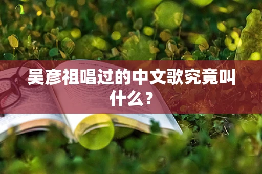 吴彦祖唱过的中文歌究竟叫什么？