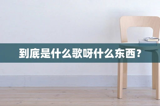 到底是什么歌呀什么东西？