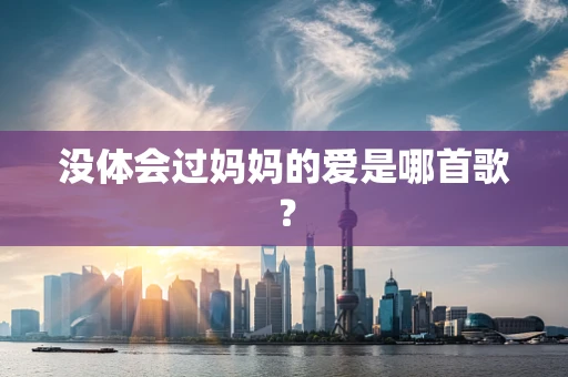 没体会过妈妈的爱是哪首歌？