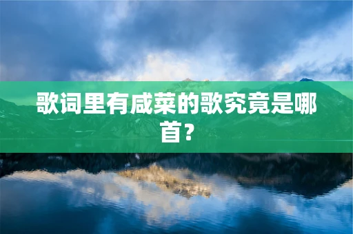 歌词里有咸菜的歌究竟是哪首？