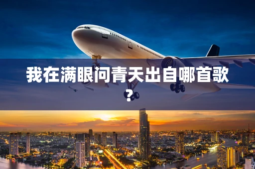 我在满眼问青天出自哪首歌？