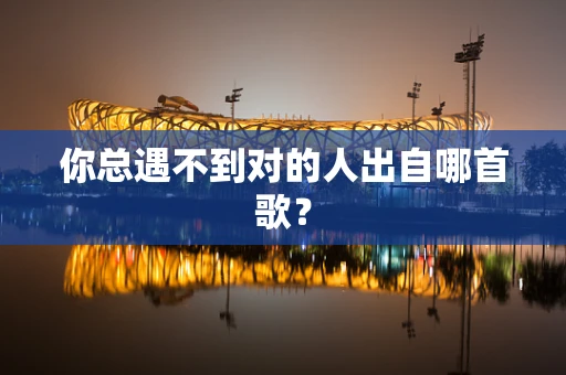 你总遇不到对的人出自哪首歌？