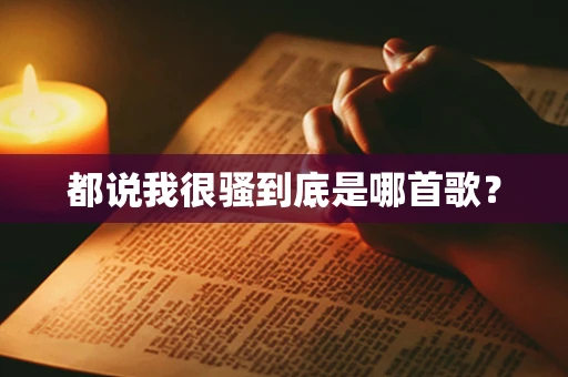 都说我很骚到底是哪首歌？