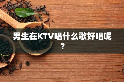 男生在KTV唱什么歌好唱呢？