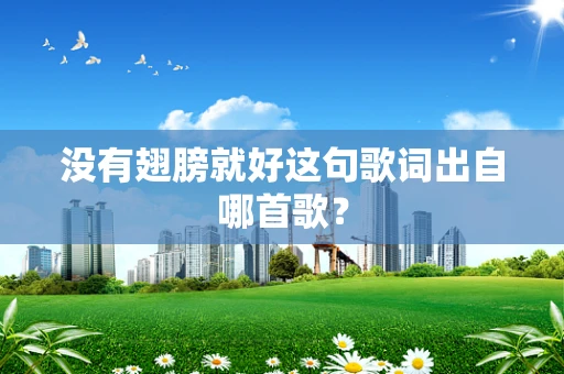 没有翅膀就好这句歌词出自哪首歌？