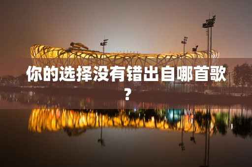 你的选择没有错出自哪首歌？