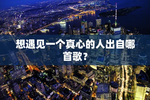 想遇见一个真心的人出自哪首歌？