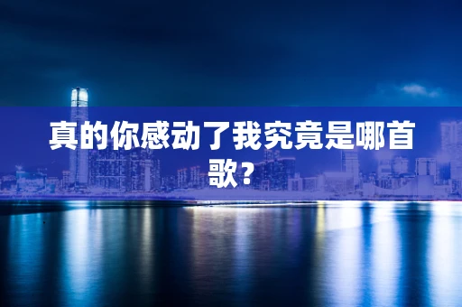 真的你感动了我究竟是哪首歌？