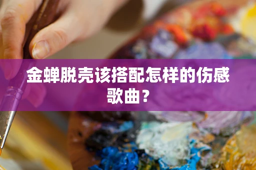 金蝉脱壳该搭配怎样的伤感歌曲？