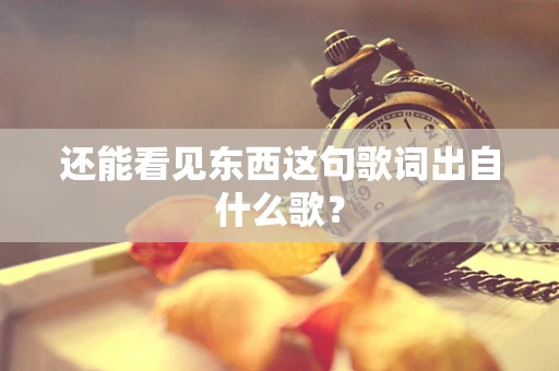 还能看见东西这句歌词出自什么歌？