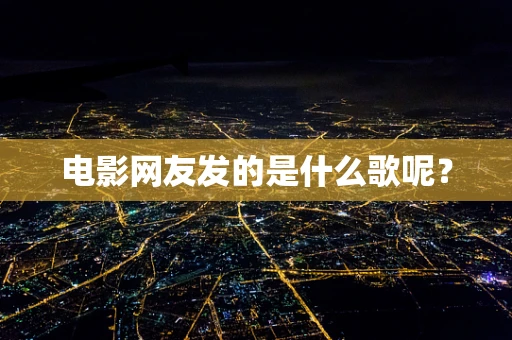 电影网友发的是什么歌呢？