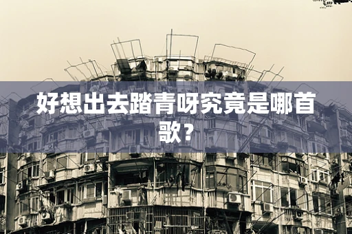 好想出去踏青呀究竟是哪首歌？