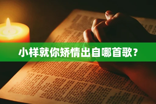 小样就你矫情出自哪首歌？
