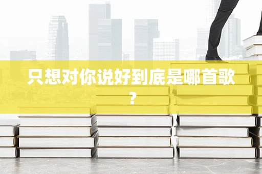 只想对你说好到底是哪首歌？