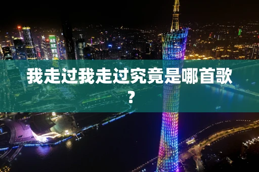 我走过我走过究竟是哪首歌？