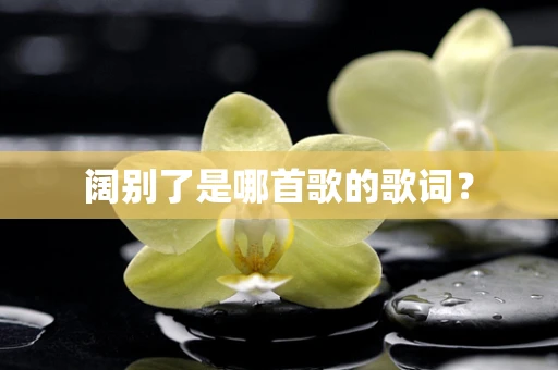 阔别了是哪首歌的歌词？