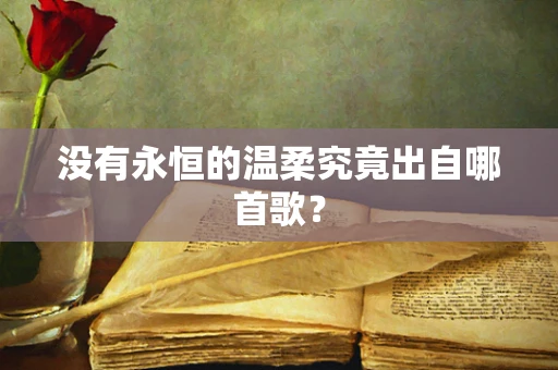 没有永恒的温柔究竟出自哪首歌？