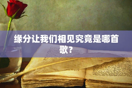 缘分让我们相见究竟是哪首歌？