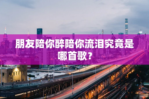 朋友陪你醉陪你流泪究竟是哪首歌？