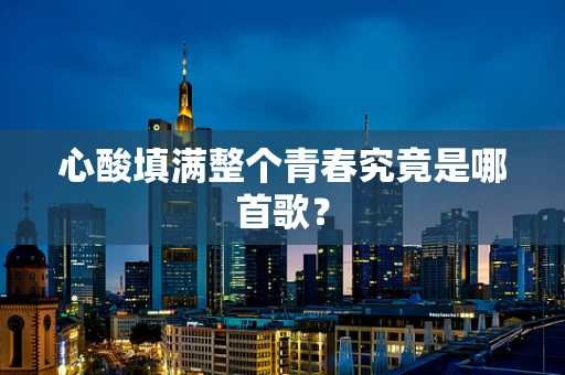 心酸填满整个青春究竟是哪首歌？