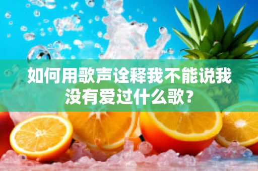 如何用歌声诠释我不能说我没有爱过什么歌？