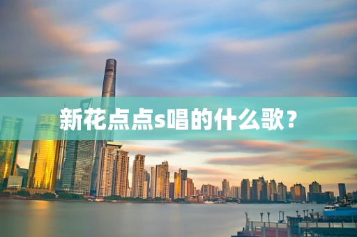 新花点点s唱的什么歌？