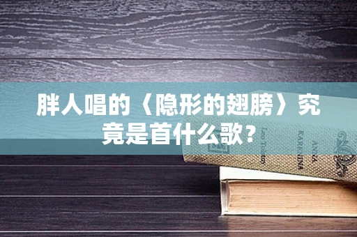 胖人唱的〈隐形的翅膀〉究竟是首什么歌？